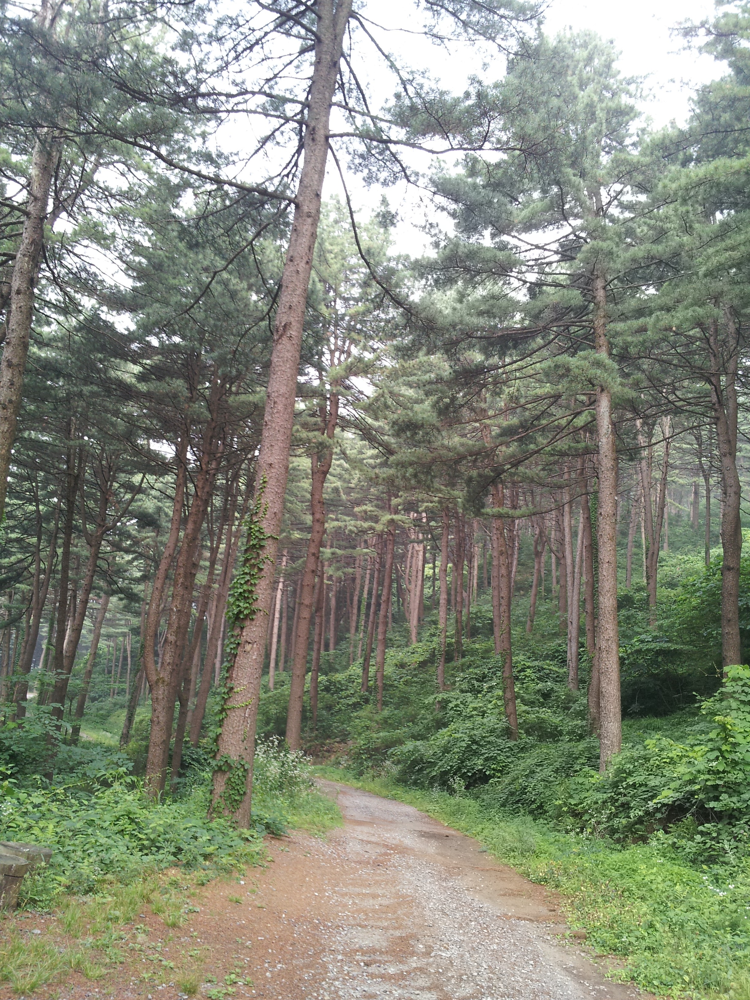 20140702_074321 (1).jpg